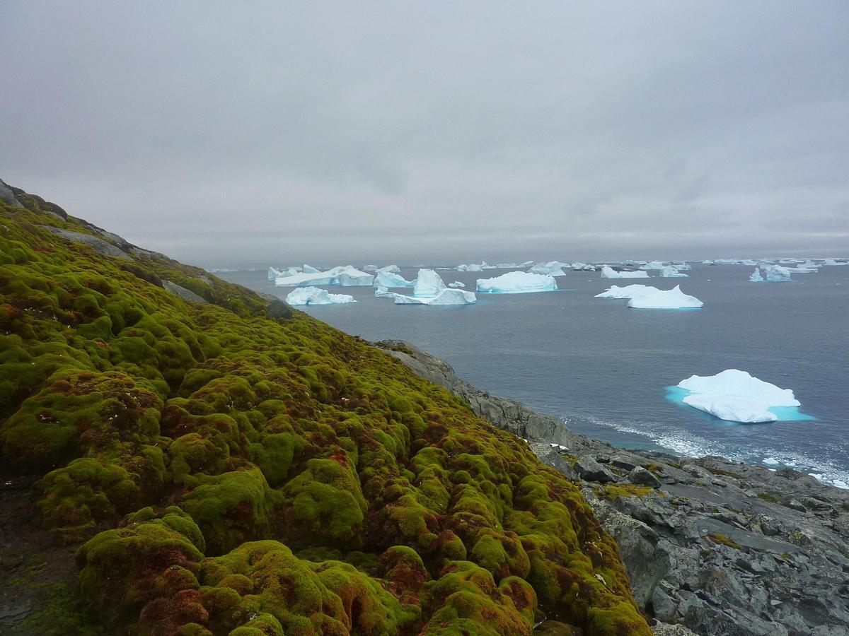 Green Island, en Antarctique.