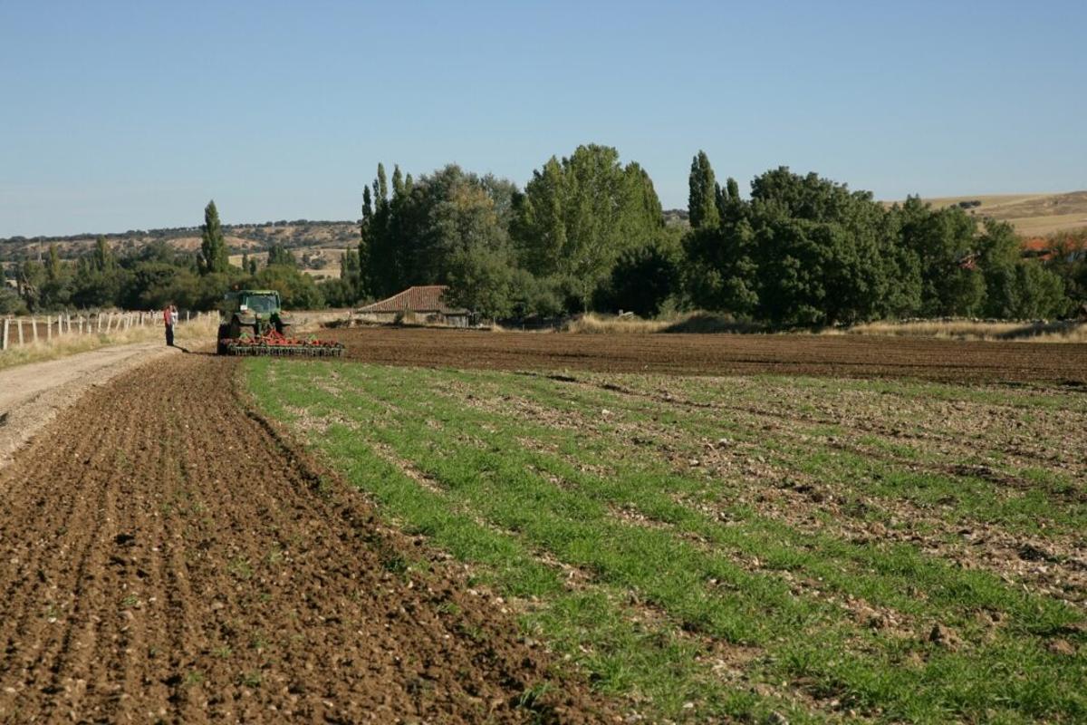 L'entreprise dit que le système sera le même que celui qui est en marche à Salamanque