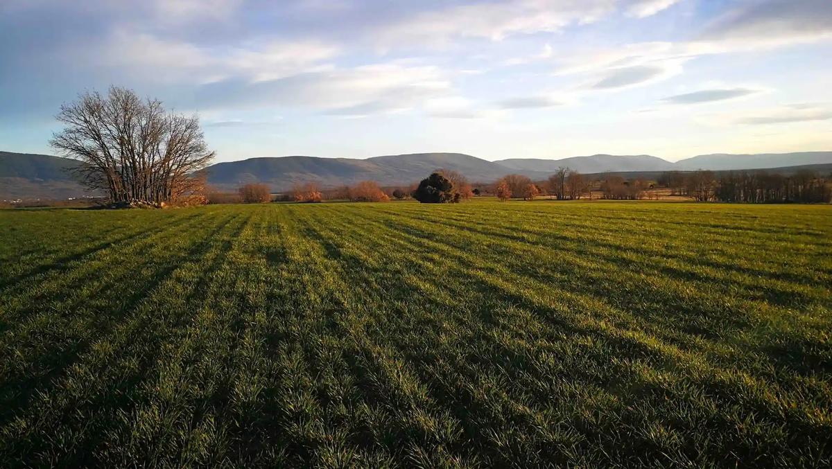 La zone sufrirá aura des impacts, selon les voisins