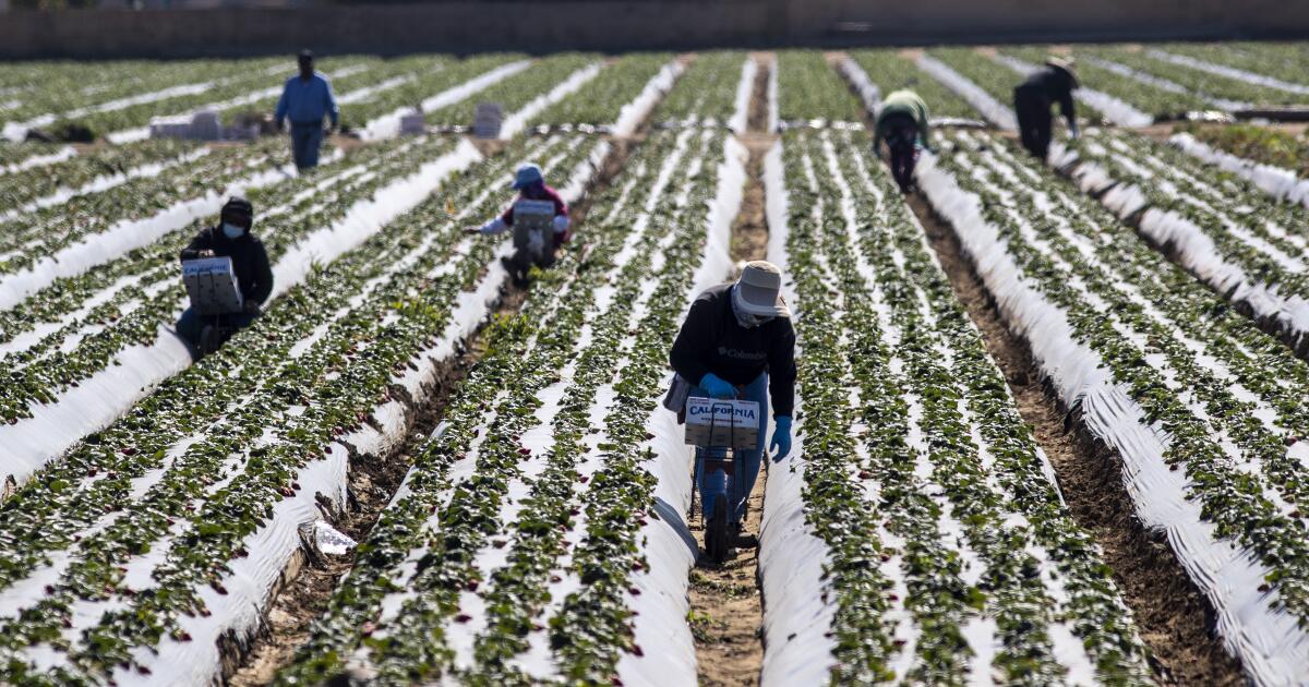 Des pesticides agricoles trouvés flottant dans des échantillons d’air californiens