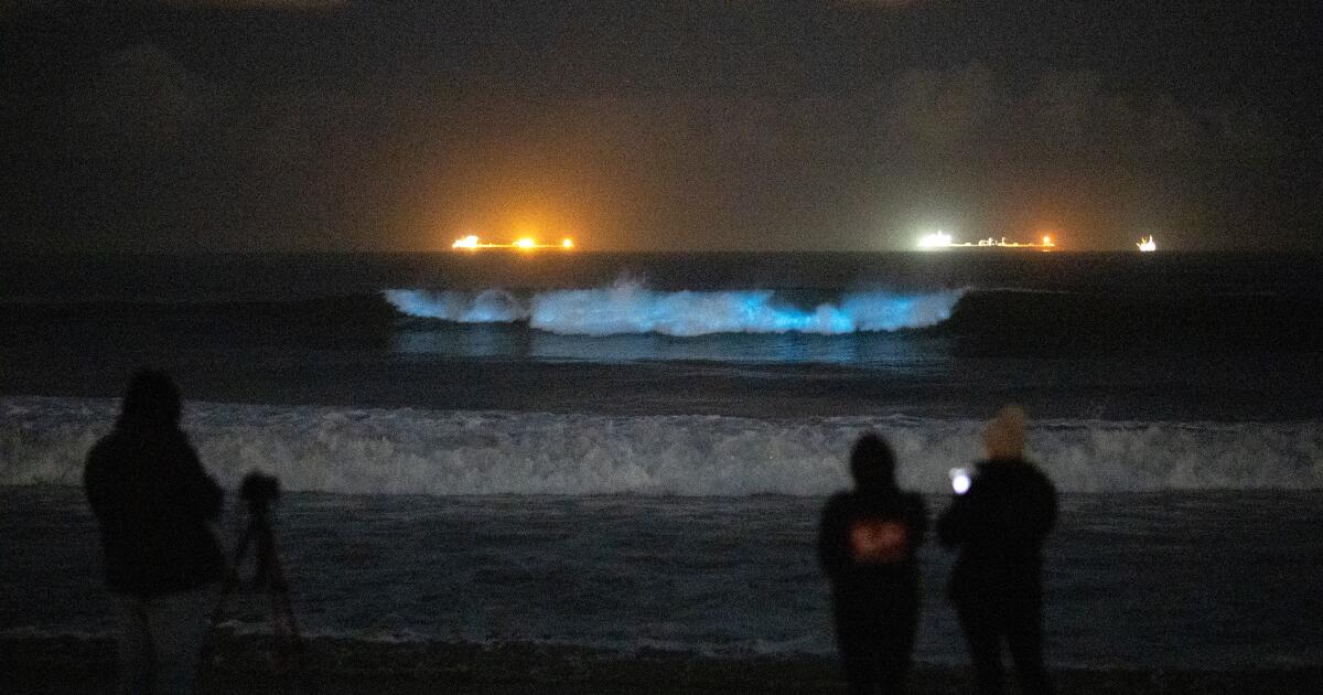 Des vagues électrisantes de bioluminescence dans le sud de la Californie