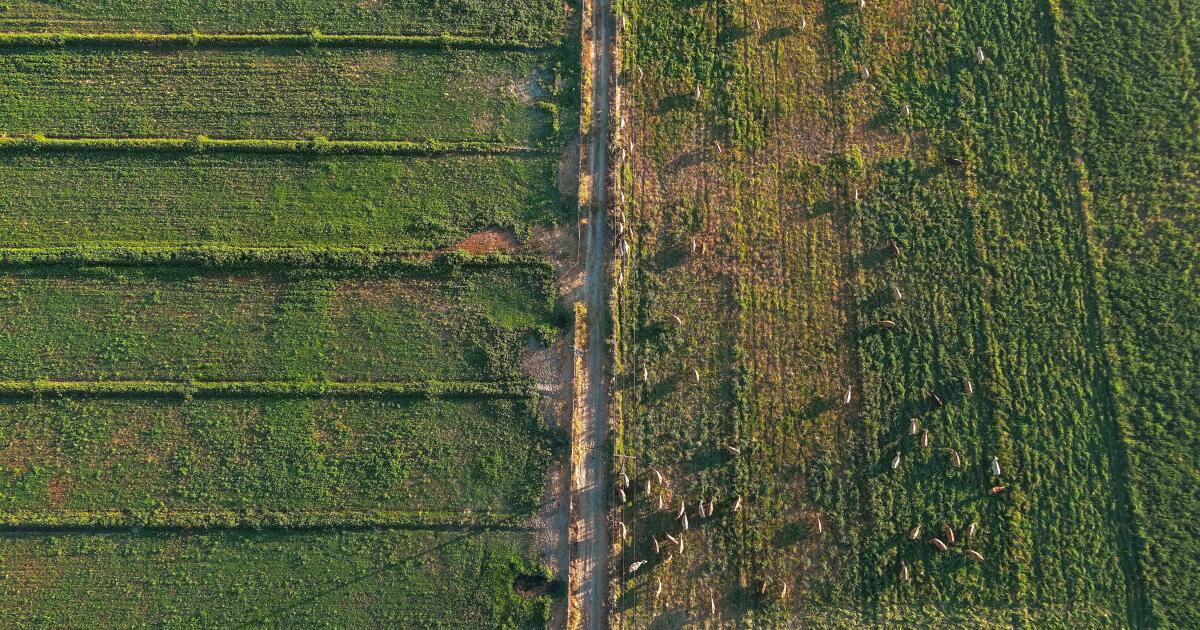 Étude : Certains résidents californiens exposés à une « soupe » de pesticides