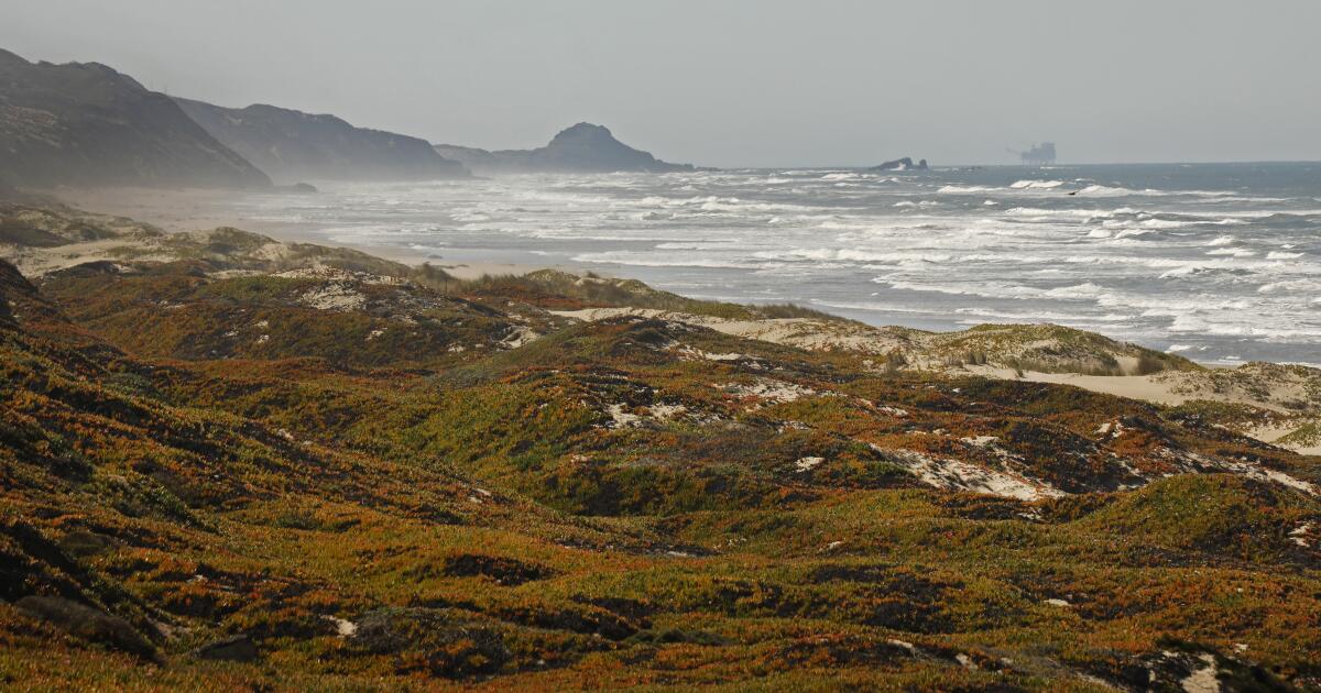 La Maison Blanche annonce un nouveau sanctuaire marin en Californie