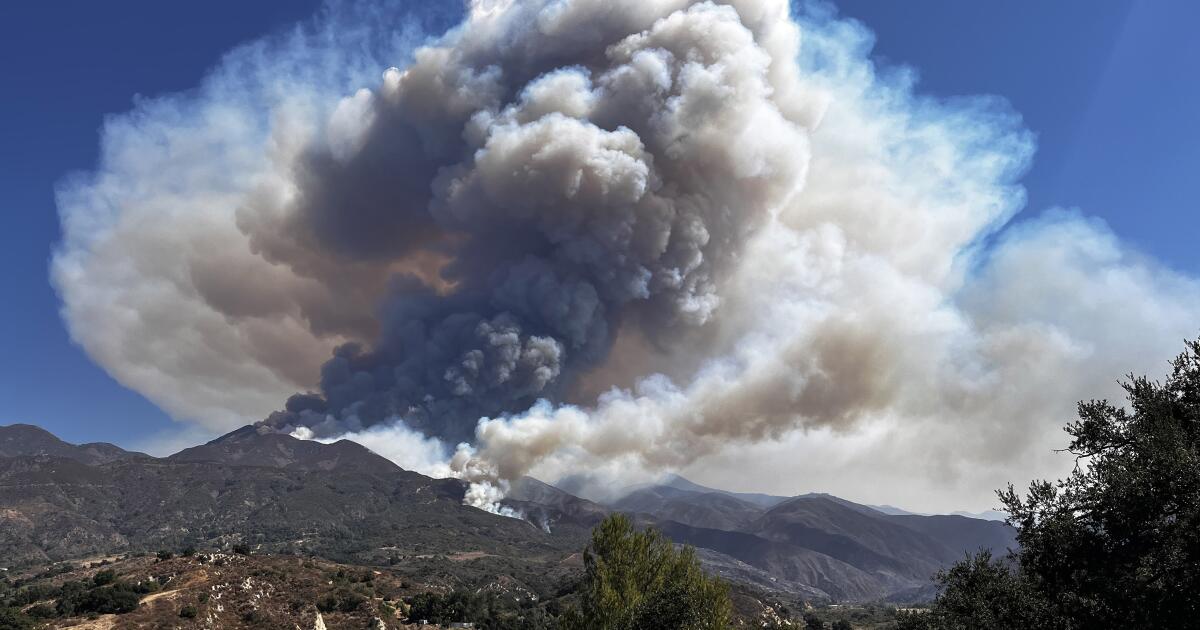 La lutte contre les incendies de forêt en Californie est entravée par le personnel du Service forestier