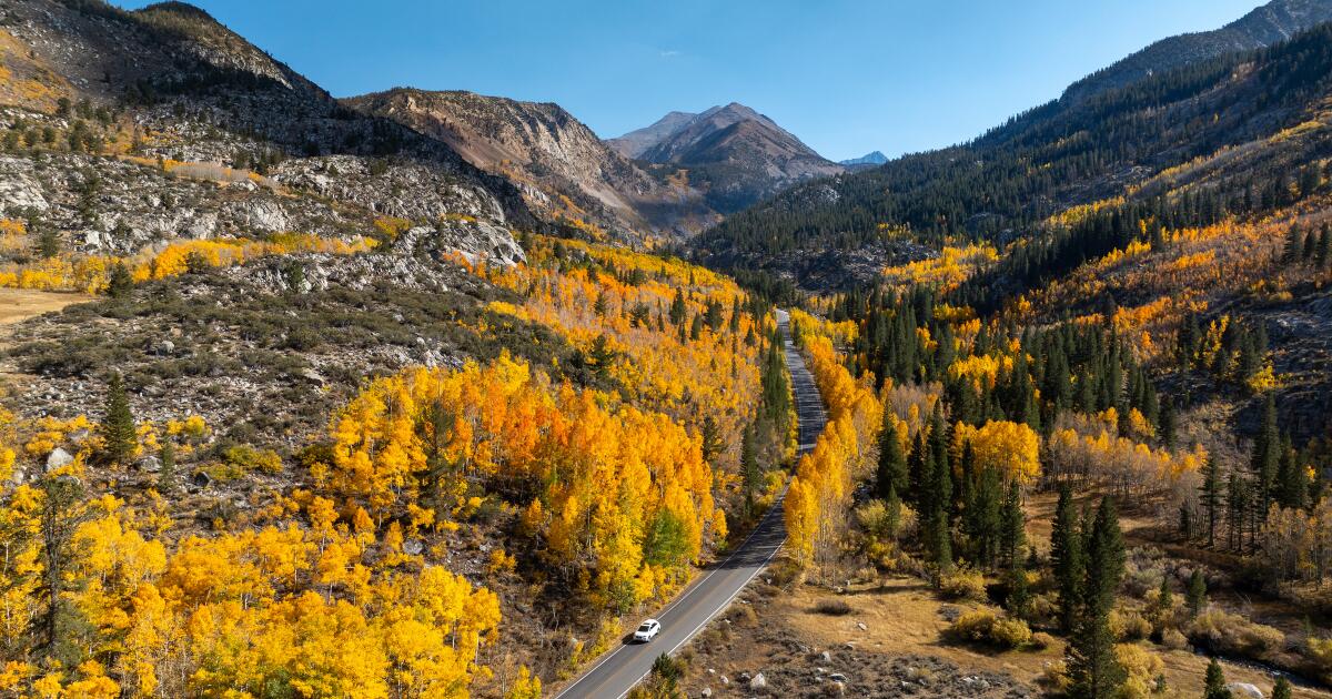 Le brillant feuillage d'automne de la Sierra orientale attire une foule mondiale