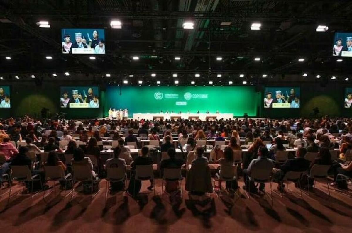La COP16 s'est conclue avec des avancées très timides