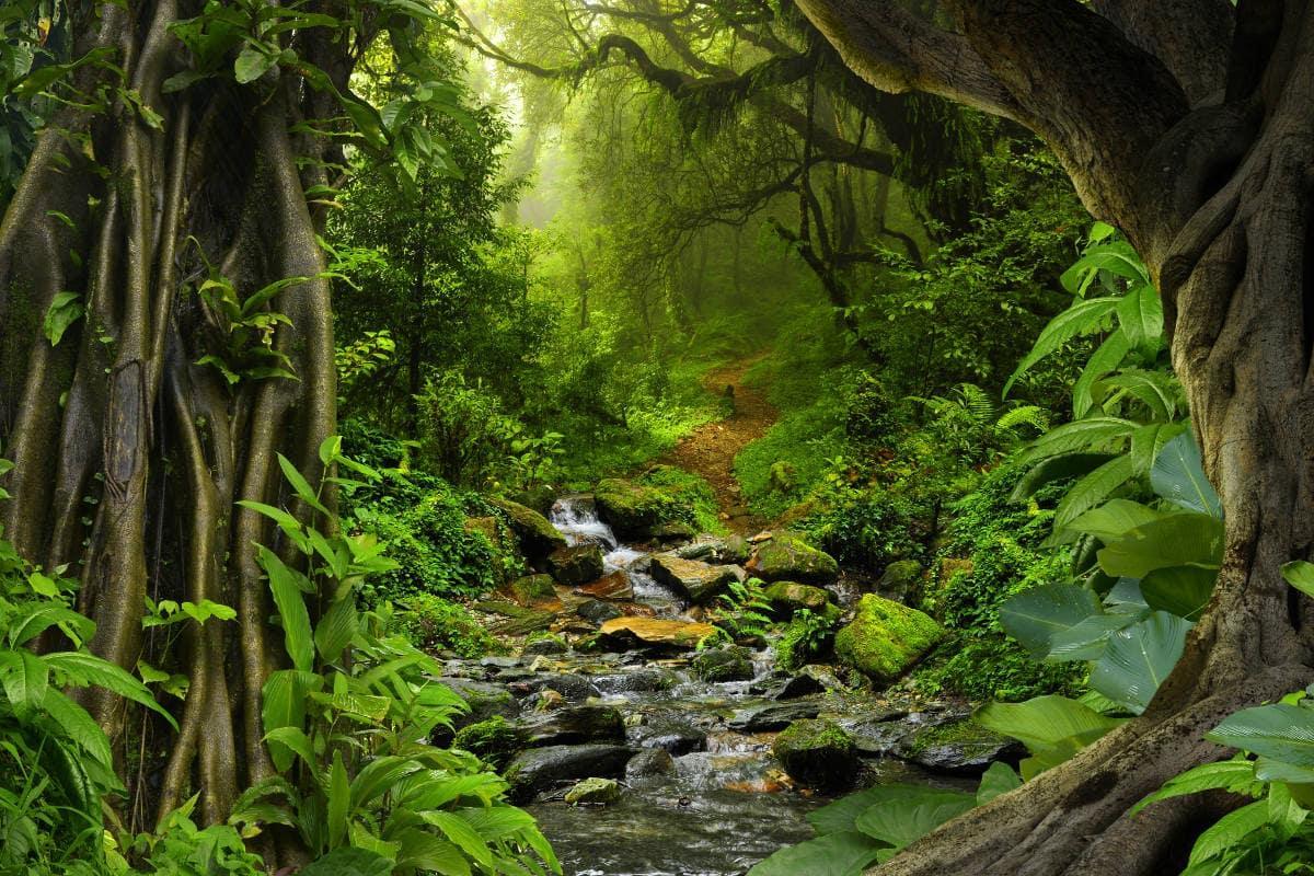 Le financement du plan de protection de la biodiversité reste en vigueur