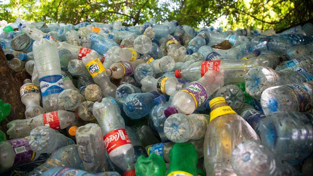 Envases de un solo uso de varias compañías de refrescos