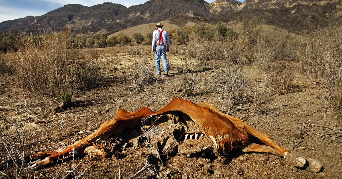 Le changement climatique est le principal facteur d’aggravation de la sécheresse