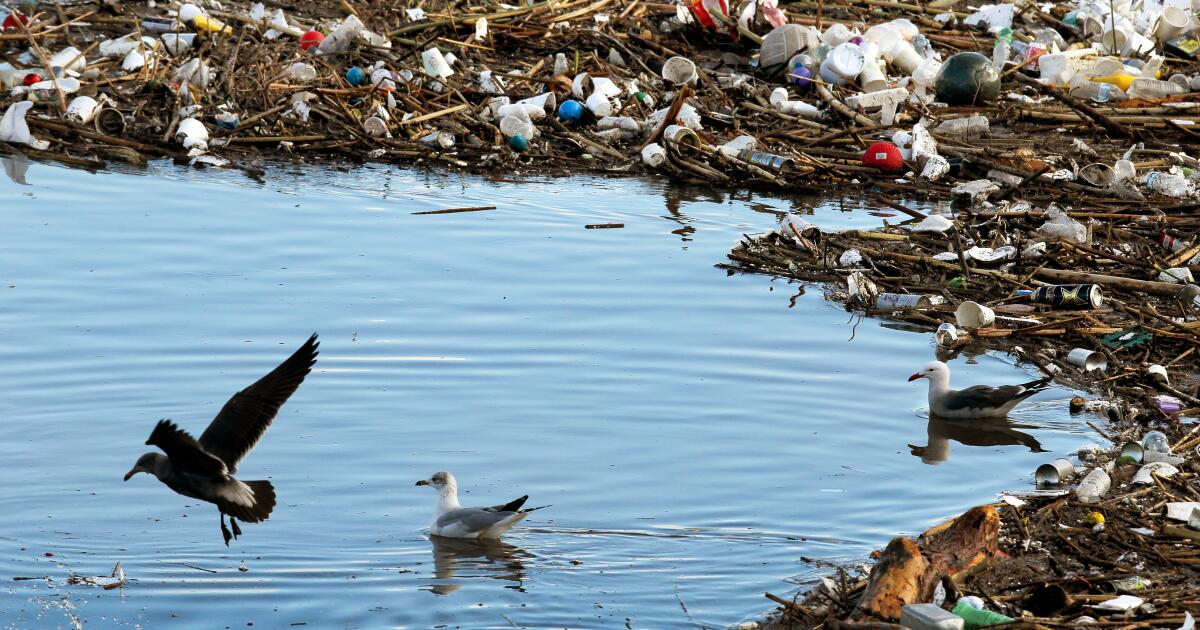 Le comté de Los Angeles poursuit Pepsi et Coca-Cola pour pollution plastique