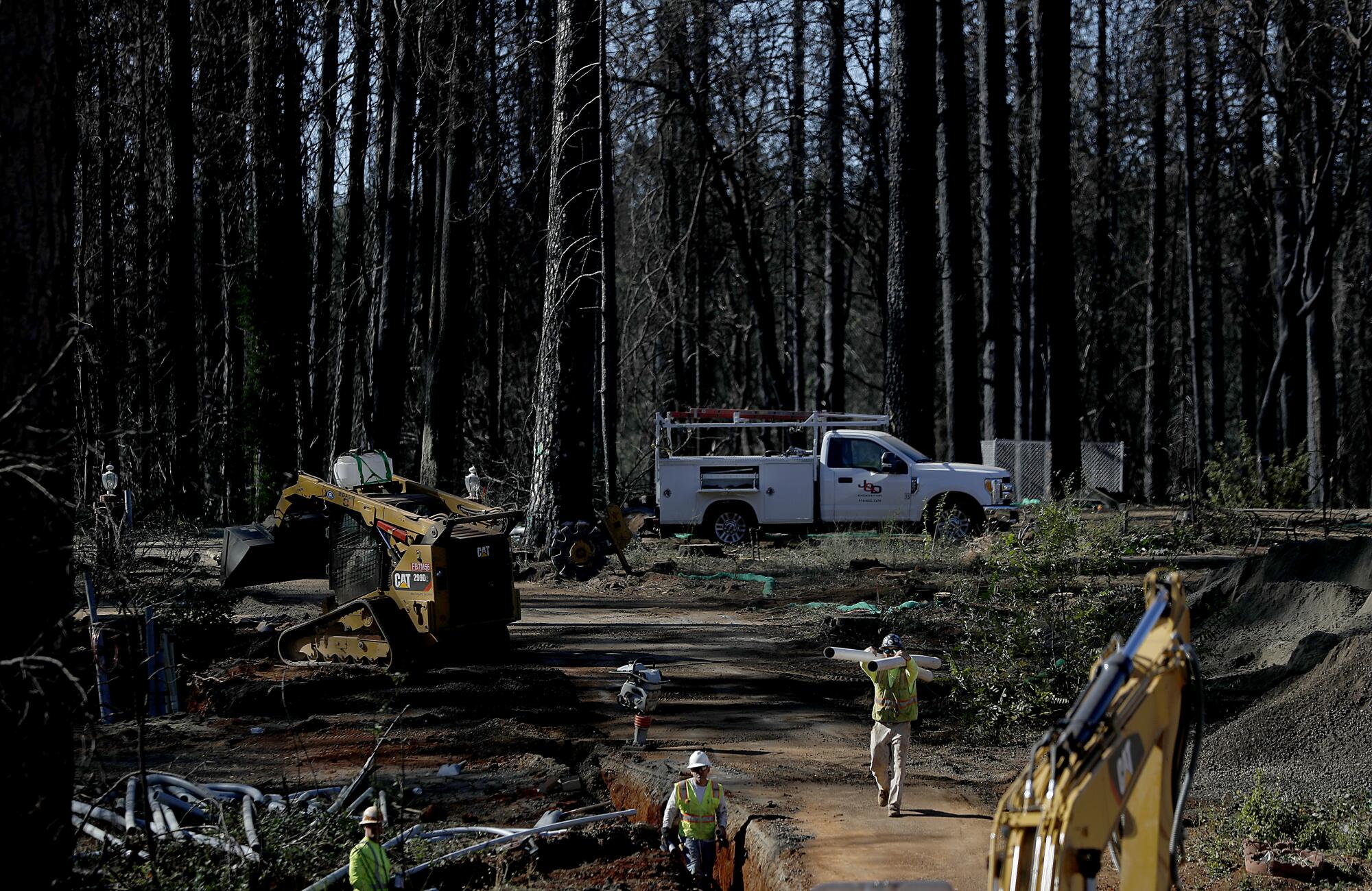 Une équipe de travail avec des véhicules de construction est encadrée par une forêt carbonisée.