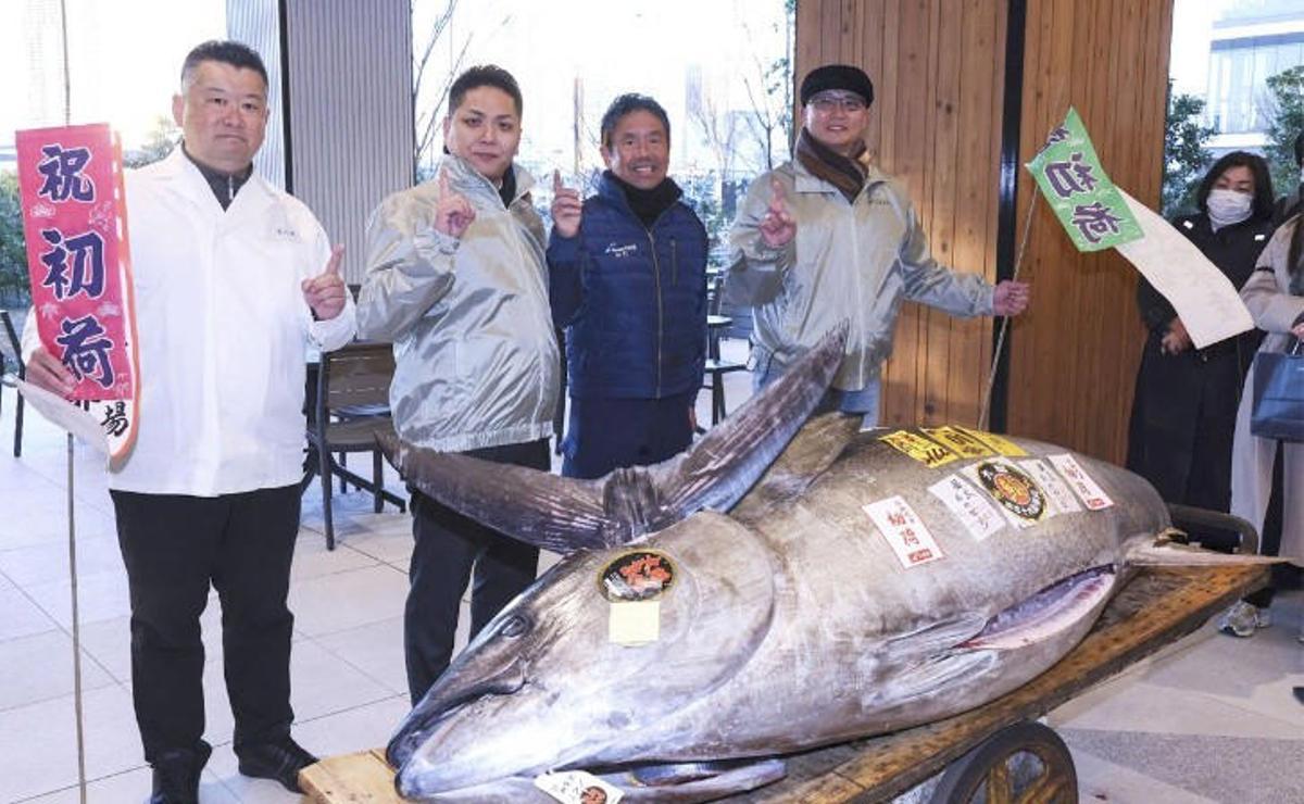 El atún es un manjar muy preciado en Japón