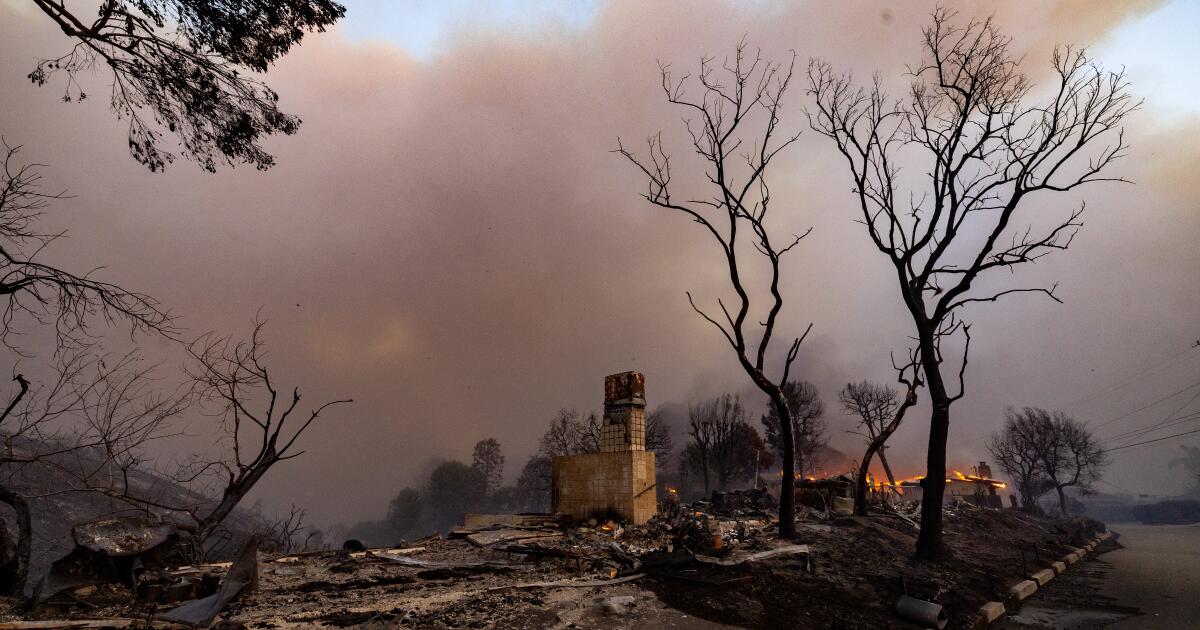 Alors que les victimes des incendies de Los Angeles se reconstruisent, faisons de la sécurité la première priorité