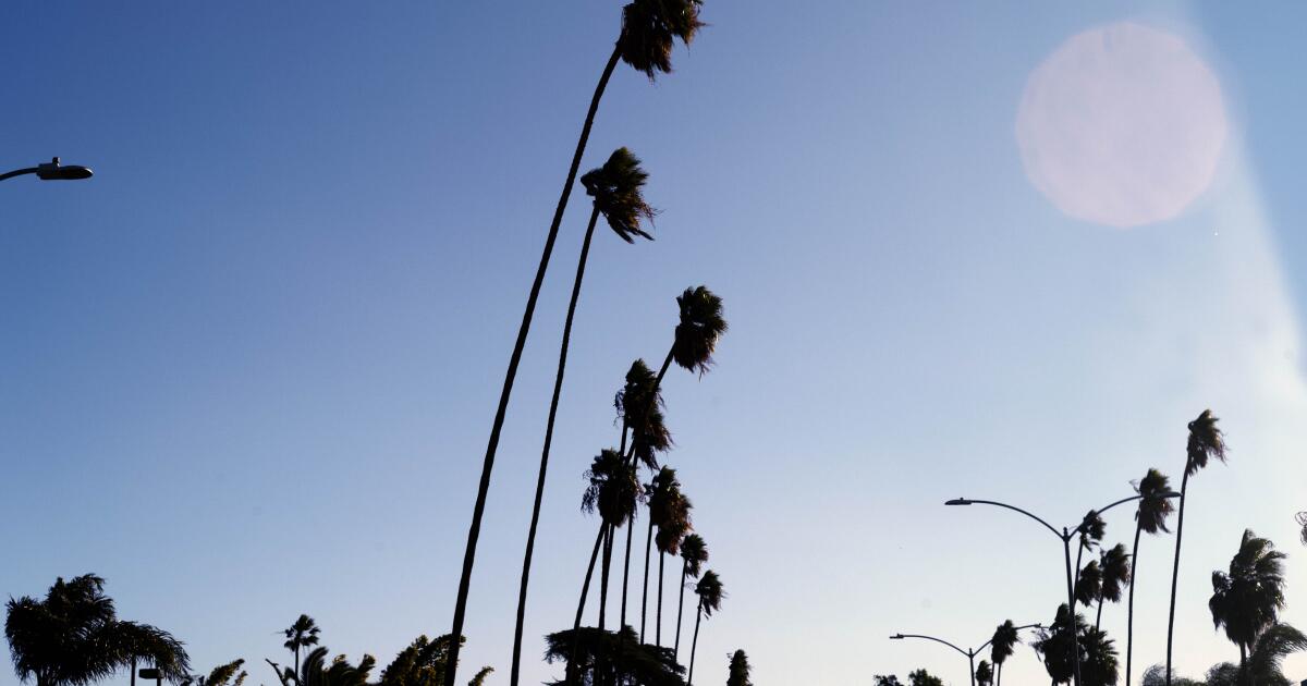 La sécheresse « hors du commun » de Los Angeles maintient le risque de nouveaux incendies à un niveau élevé. La pluie est désespérément nécessaire