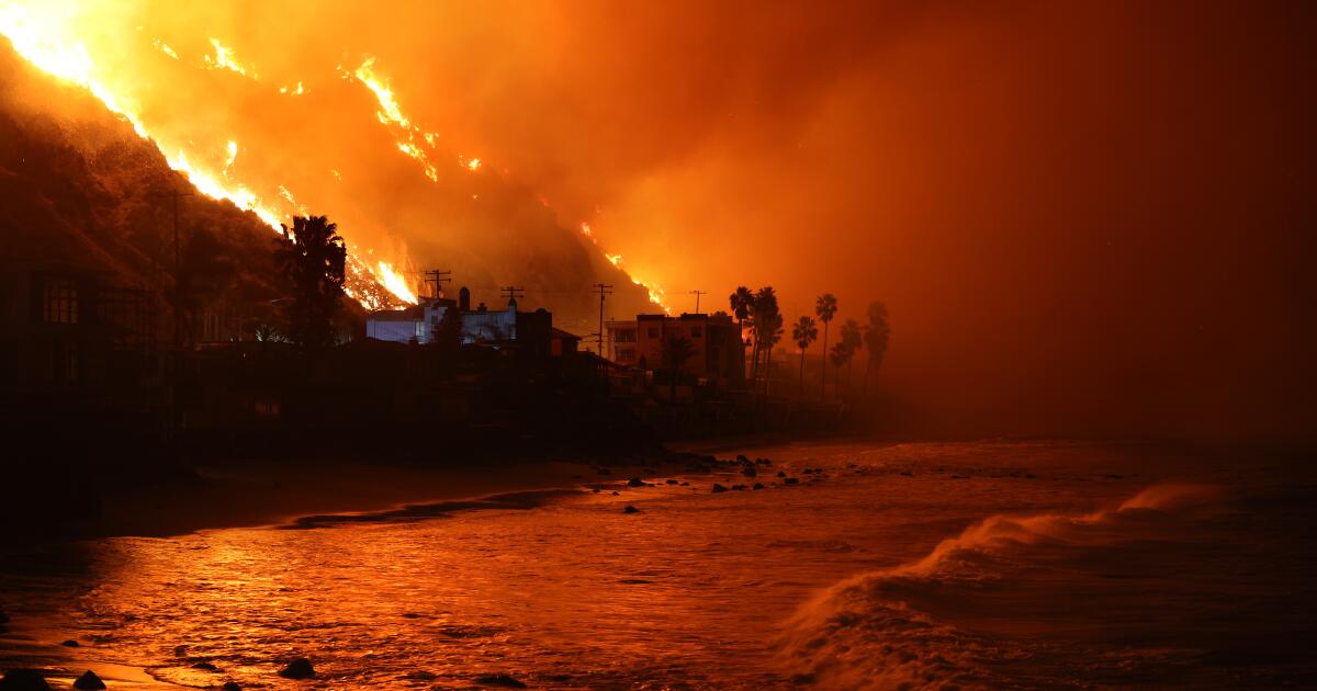 Les scientifiques courent pour savoir quels dégâts que les incendies ont faits à la mer