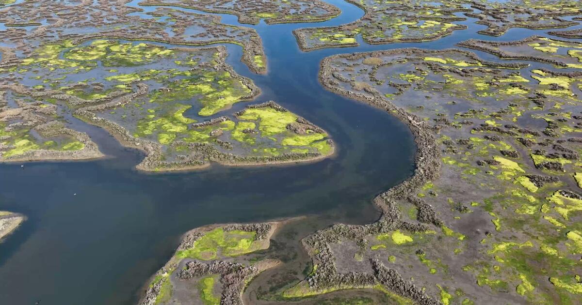 Métaux lourds trouvés dans l'estuaire de Monterey après le feu de la batterie de la batterie d'atterrissage de Moss