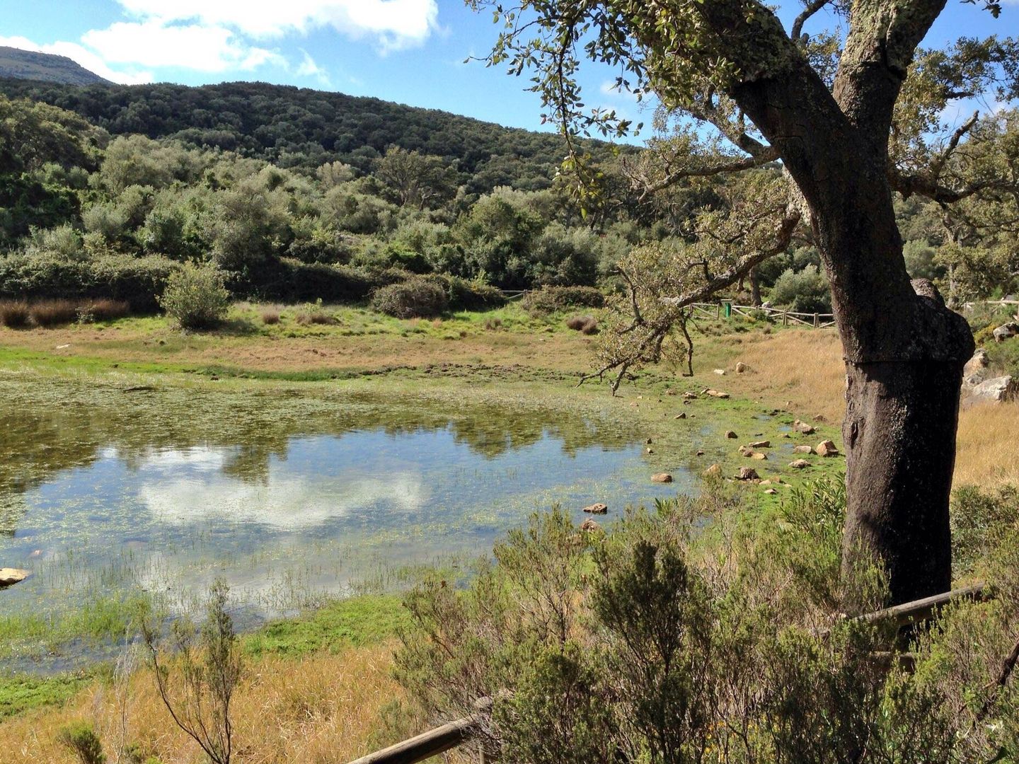 Laguna dans le parc naturel de Los Alcornocales, Cádiz. (Jose Luis Gallego)