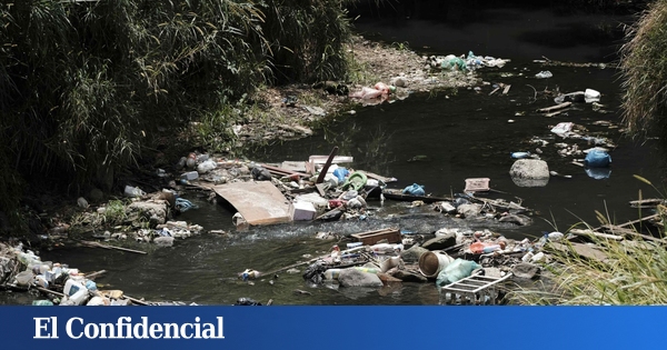 Nous anéantissons la vie aquatique: 25% des espèces d'eau douce sont menacées