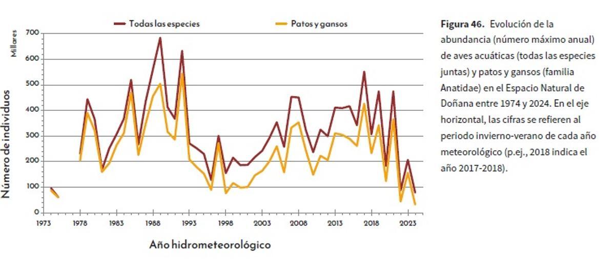 Evolución de las poblaciones de aves en Doñana