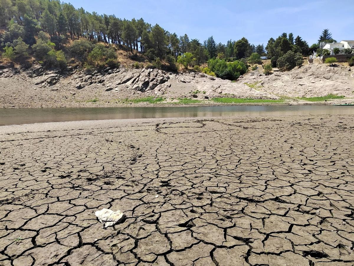 Río Lozoya a su paso por el término municipal de Buitrago del Lozoya .
