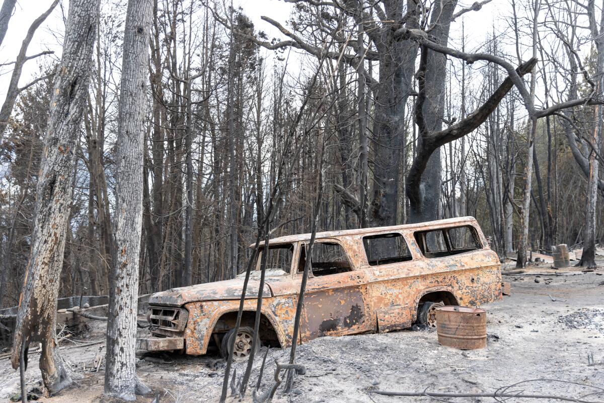 Un camion jaune brûlé se trouve au milieu des cendres et des arbres brûlés