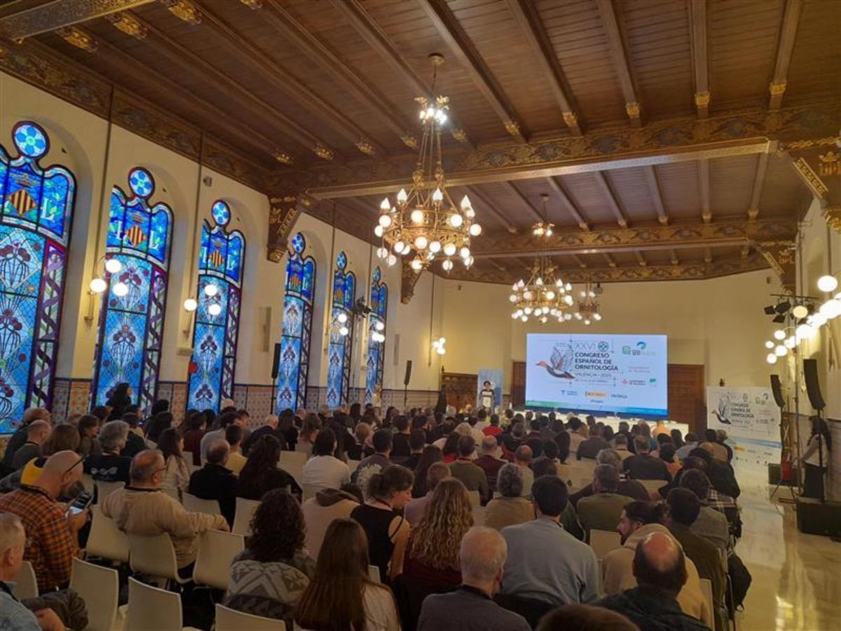 Asistentes al Congreso.