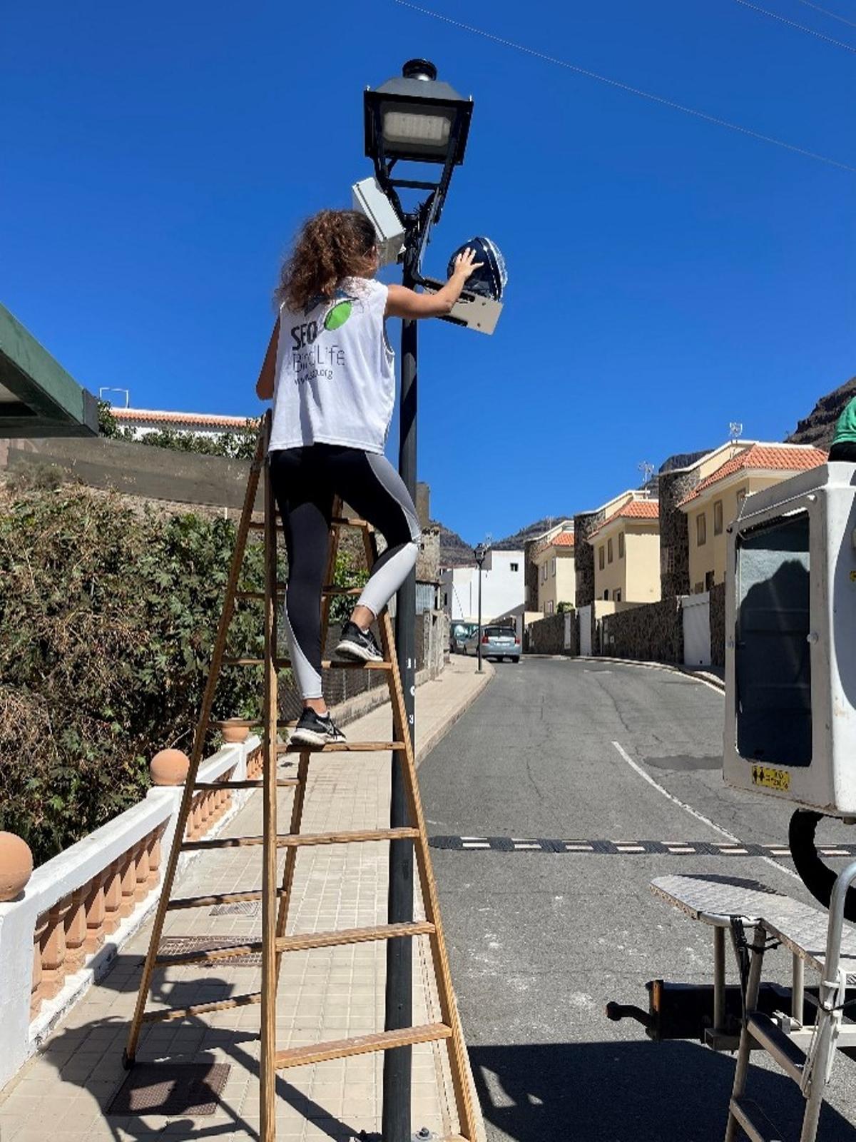 Técnica de Seo: Birdlife Instalando los Disitivos Autónomos Que pertiativeon Contabilizar los Insectos y Murciélagos atraídos por el Alumbrado Público, antes y Después de Su Modificación.
