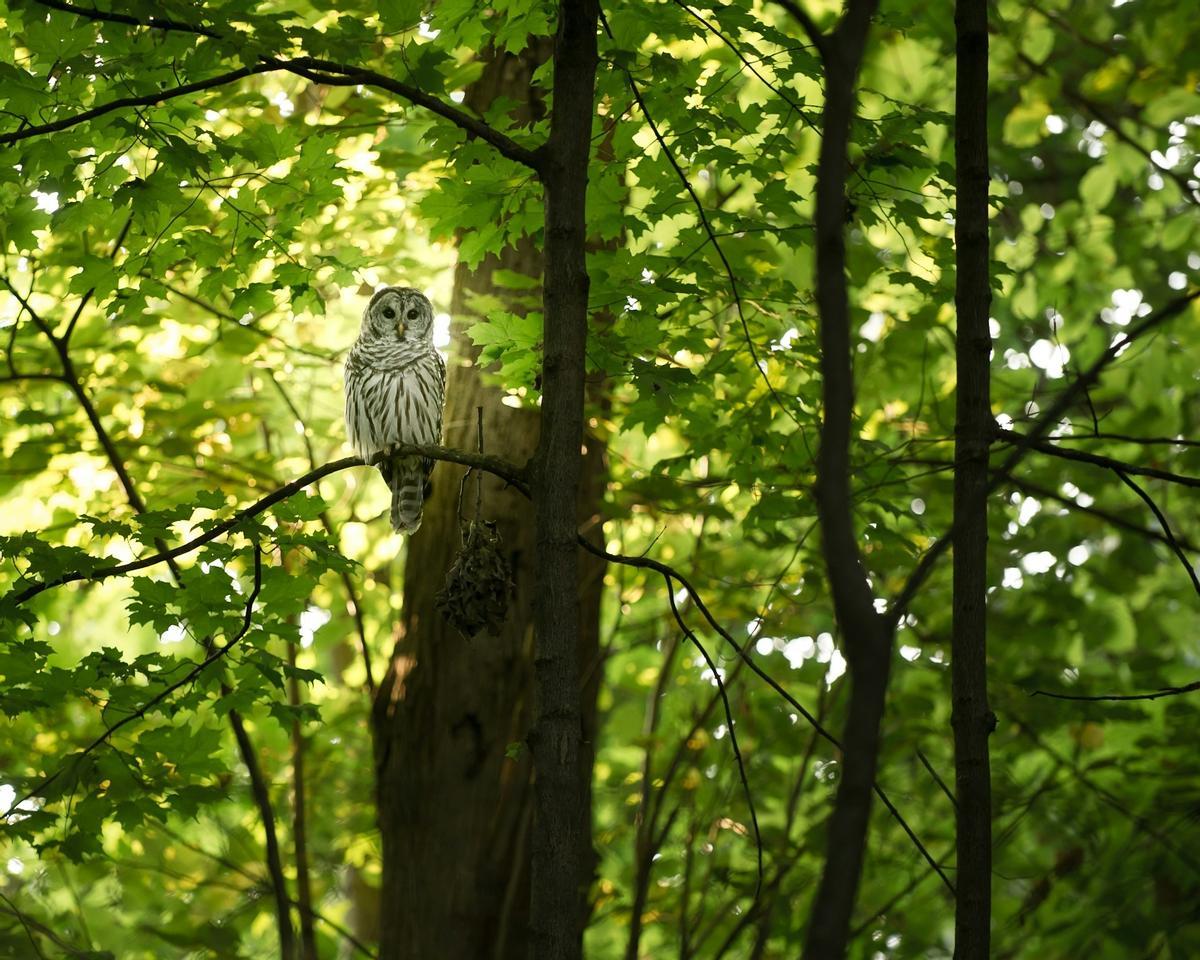 Tina Rataj Berard HBQTTTX5TRC UNSPLASH