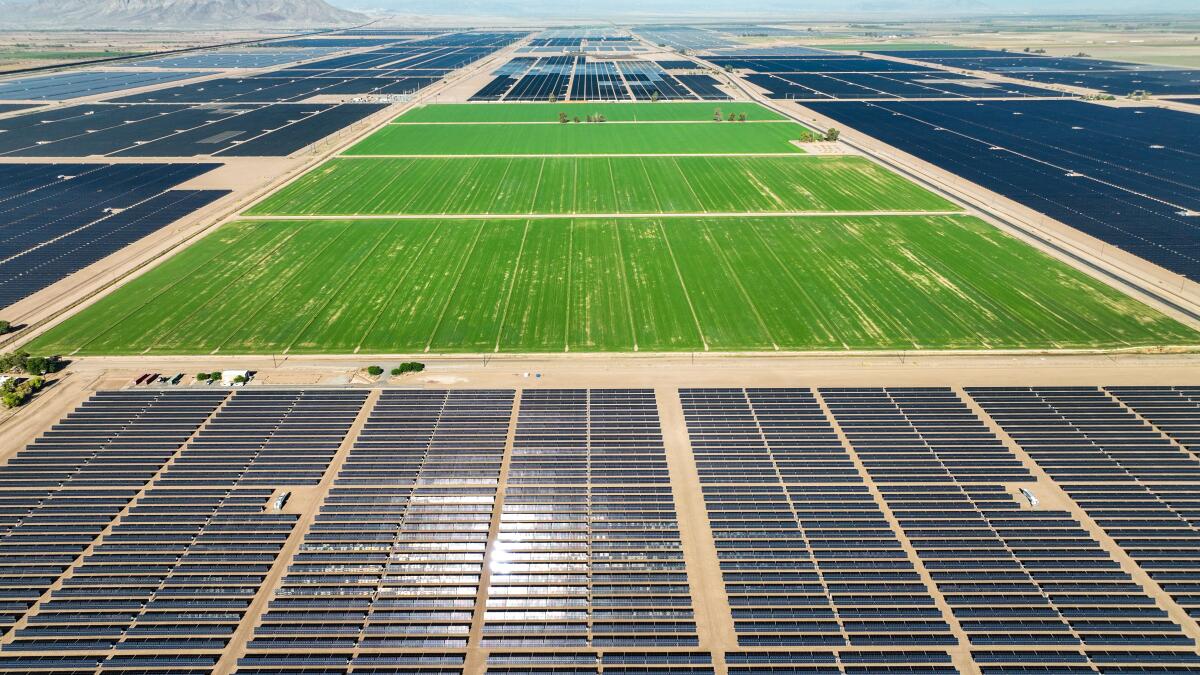 Les panneaux solaires entourent un champ de ferme dans le comté impérial de Californie.