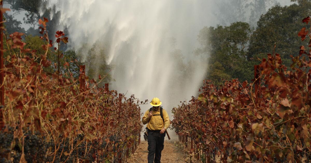 Cal Fire libère de nouvelles cartes de danger pour la baie, pays viticole