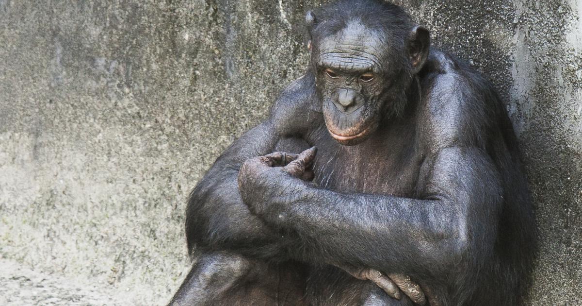 'La nature est en chute libre'