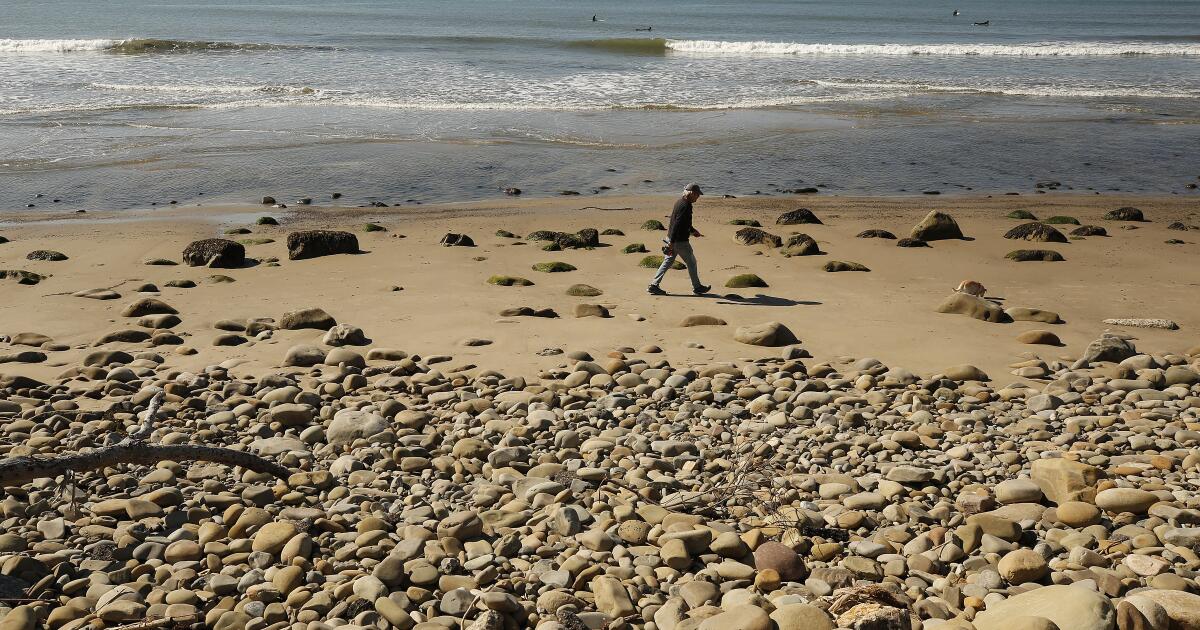 Les autorités ferment plus de plages, imposent des avis sur les autres. Voici pourquoi