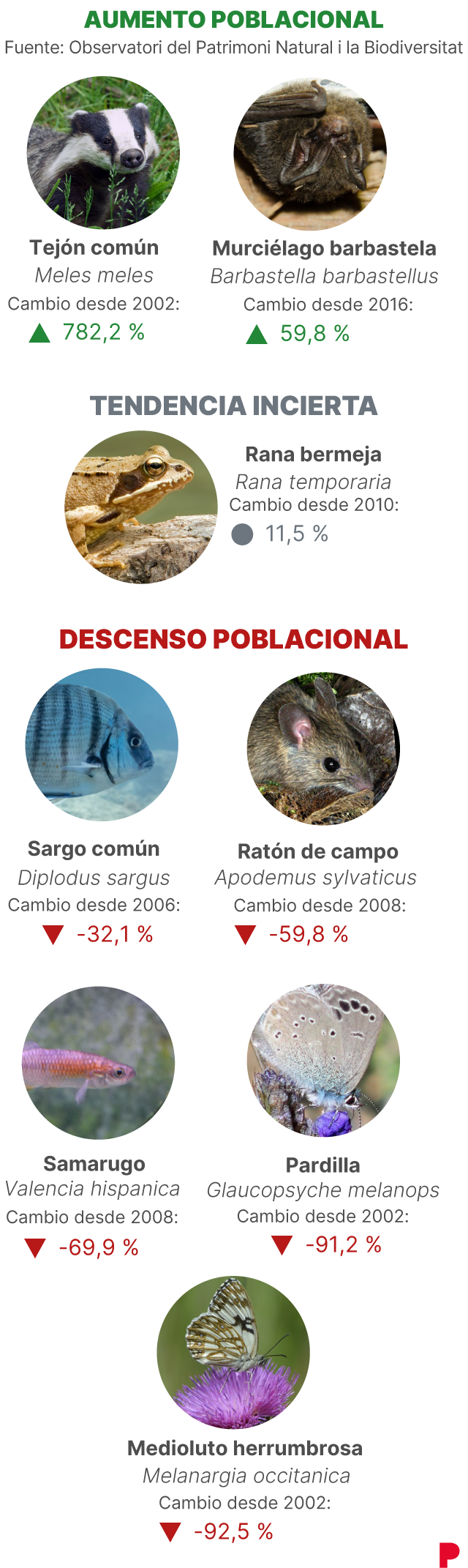 "Pecces y Mariposas sufren déclive les drásticos"