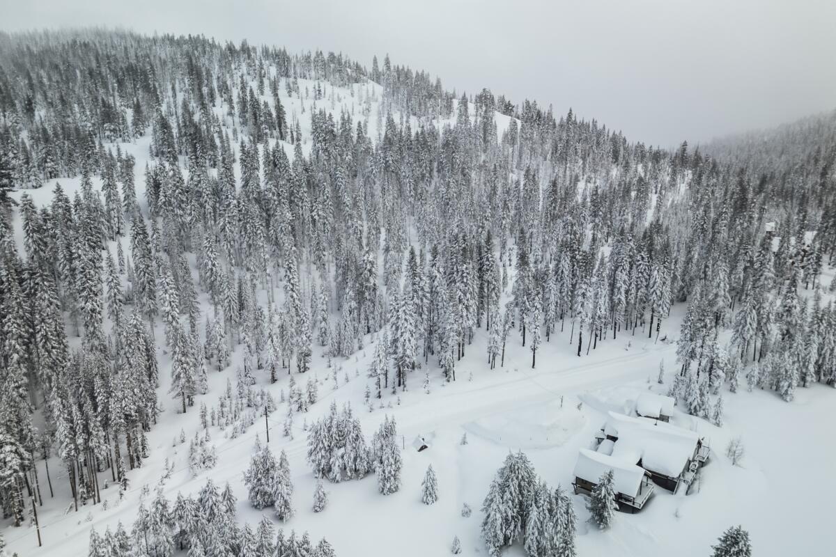 La neige couvre une colline lors d'une tempête hivernale à Soda Springs, en Californie, en février.