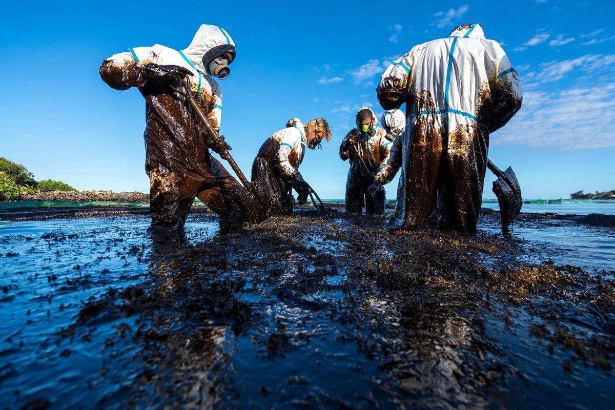Voluntarios limpiando un vertido de Petróleo