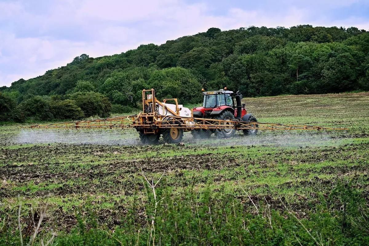 Buena Parte de la Contaminación del Agua Provinee de Vertidos de la Agricultura.