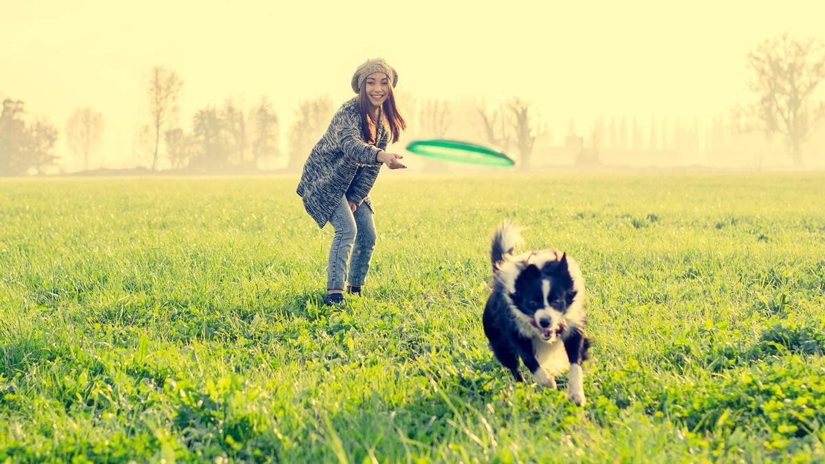 La importancia del juego es funamenal para perros y personas