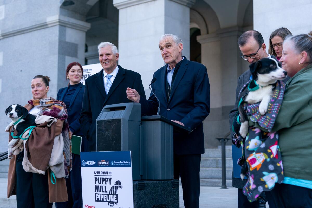 Le membre de l'assemblée Steve Bennett (D-Ventura) s'exprime lors d'une conférence de presse de février au Capitole de l'État à Sacramento.