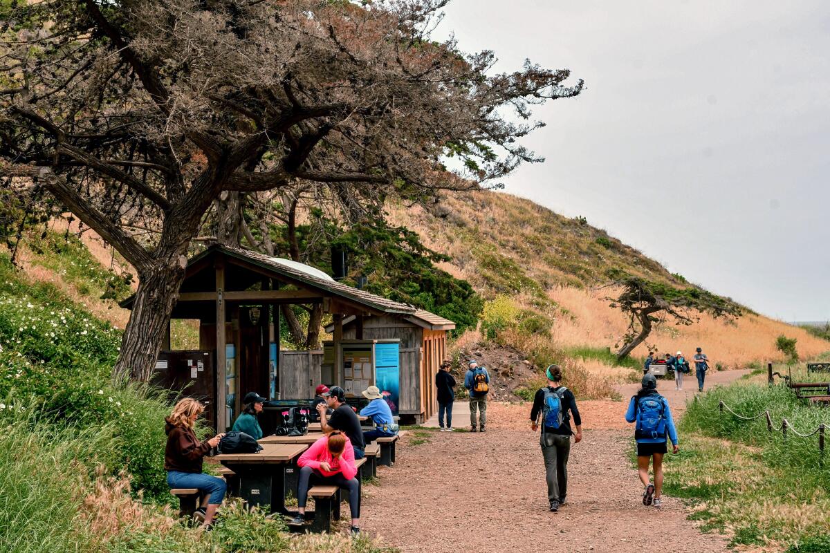 Santa Cruz Island, parc national des îles Channel. Scorpion Ranch, 2019.