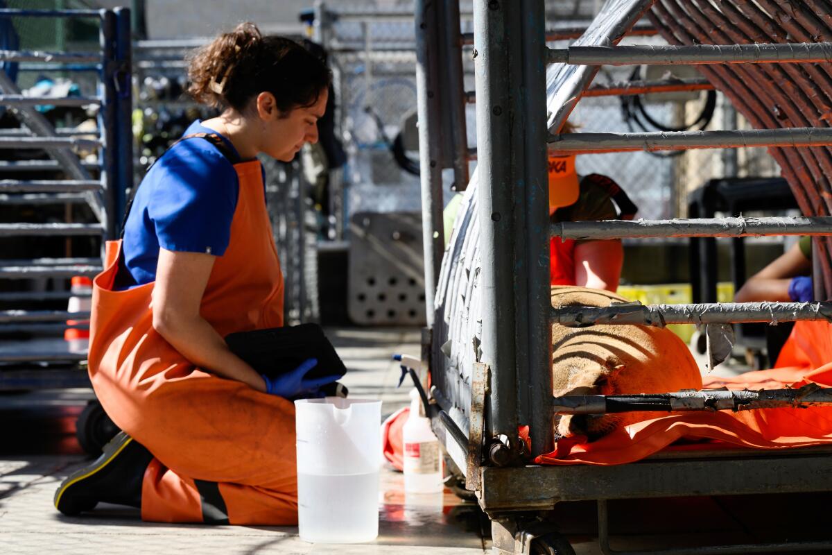 Une femme avec une queue de cheval et portant une combinaison orange s'agenouille à côté d'une cage.