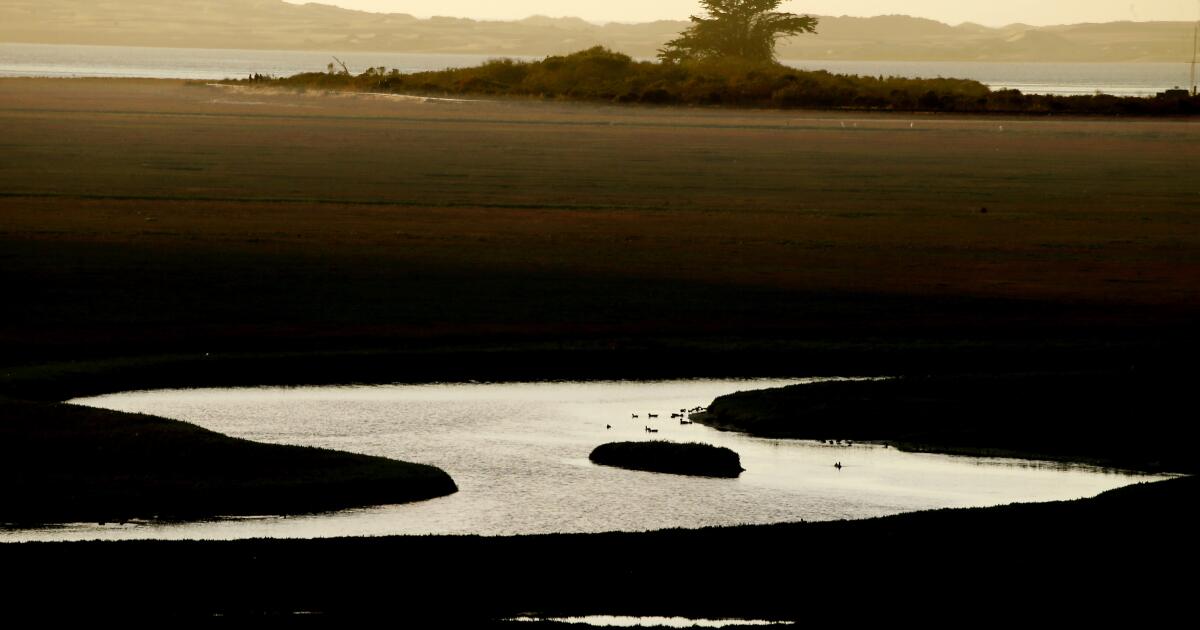 California Bill restaurerait les protections de l'eau pour les zones humides