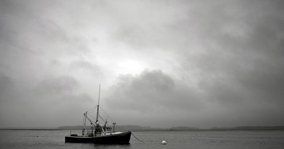 Contributeur: Dans la guerre de Trump contre la NOAA, les Américains et l'économie perdront