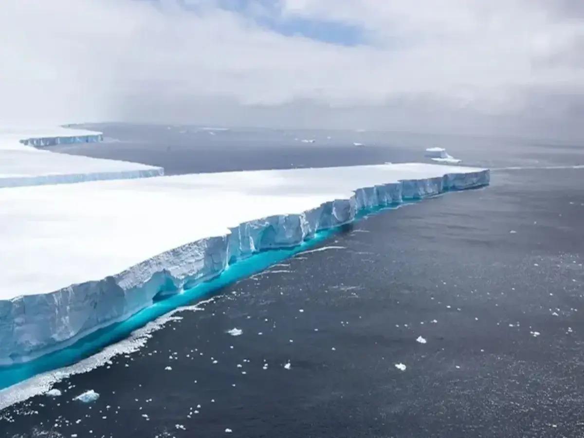 El iceberg ha encallado contra una gran colonia de pingüinos y focos