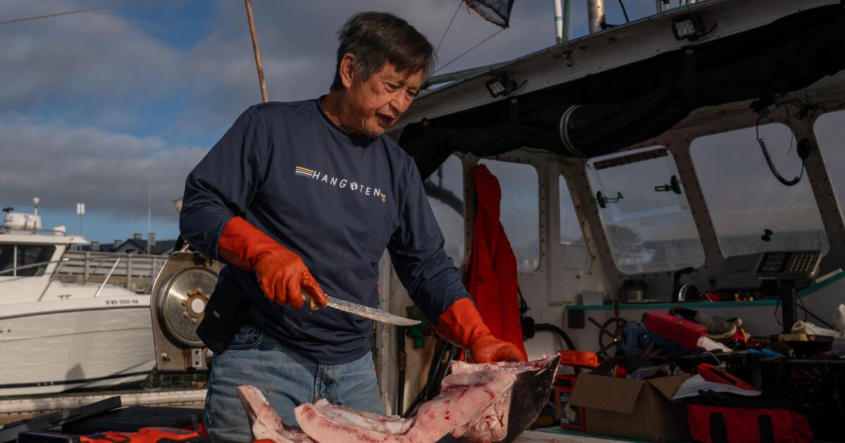 La faiblesse de la population de saumon en Californie pourrait empêcher la pêche pour la troisième année