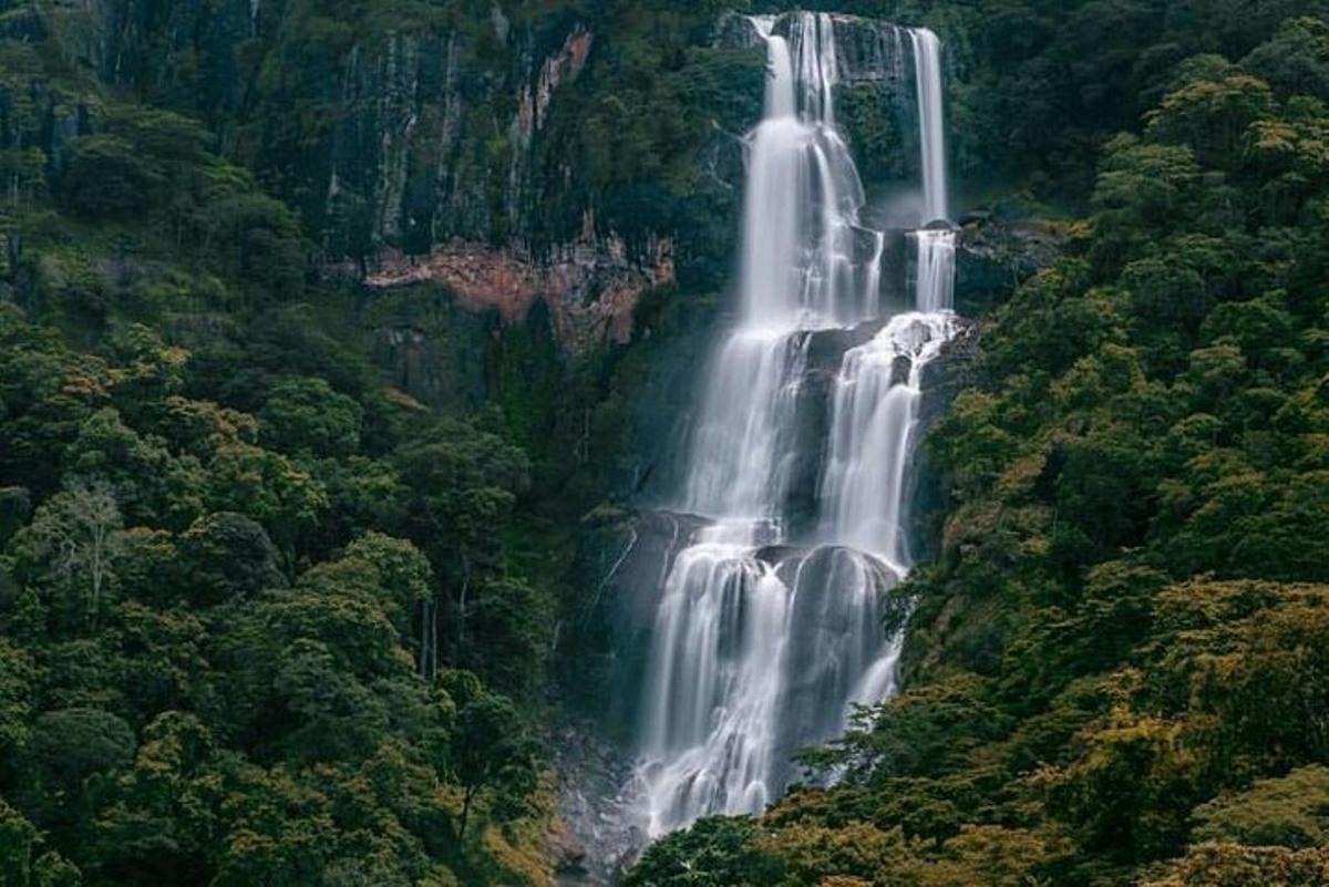 El lugar del hallazgo es un paraje de singular importancia ecológica
