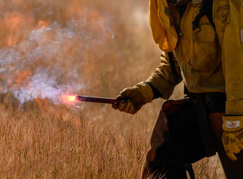 Une personne en équipement de protection utilise une torche pour mettre le feu sur l'herbe jaune. 