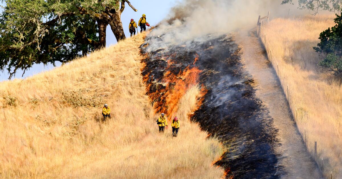 Les dirigeants de la Californie disent que les coupes de Doge radiaient aggraveront les incendies de forêt
