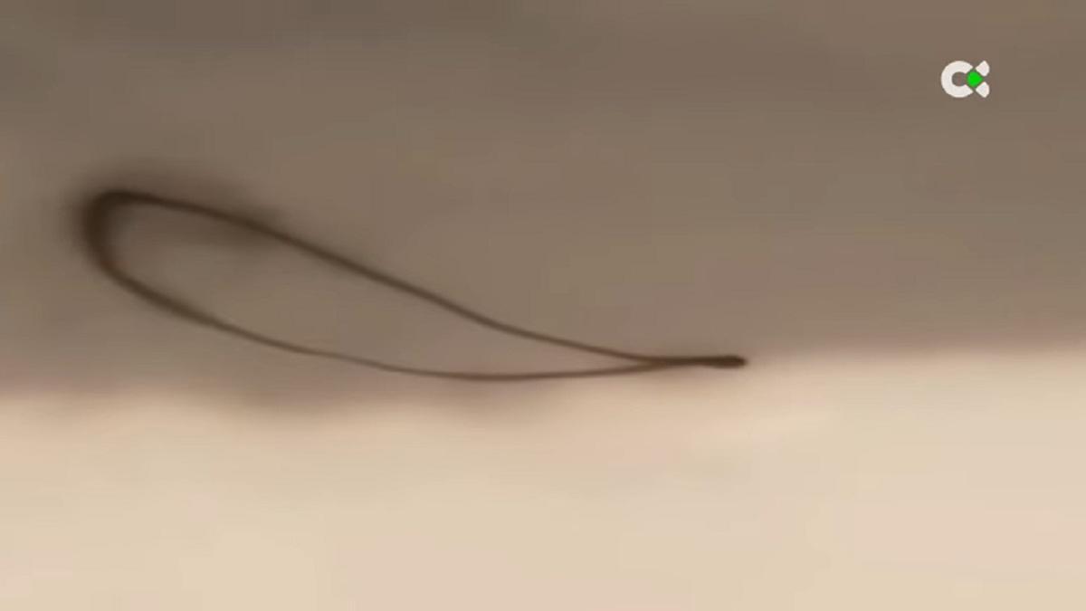 El anillo sobrevoló la Palma y luego se desvaneció