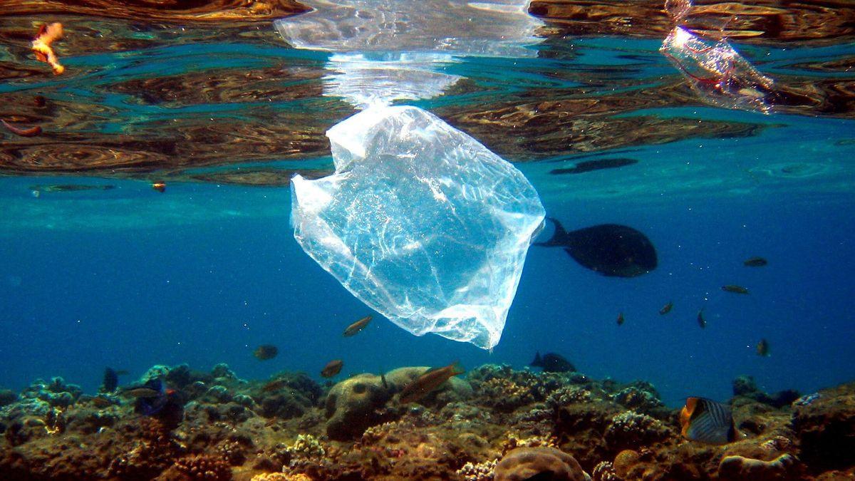 Las bolsas de plástico son un gran contaminante del mar