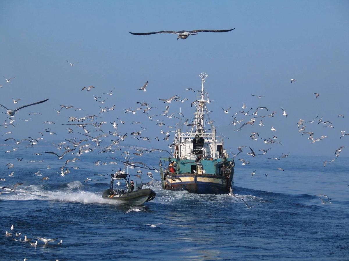 Hay amp en las que se puede praticar la pesca de artretre, actidad muy dañina para el fondo marino